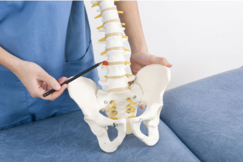 herniated disc treatment in Greenville SC concept doctor with spine model